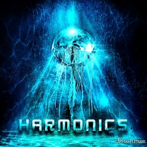 谐波音效库 SampleTraxx Harmonics v1.1.KONTAKT