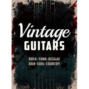 复古吉他 Xtended Series Vintage Guitars KONTAKT