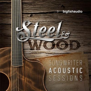 Big Fish Audio Steel and Wood Songwriter Acoustic Sessions
