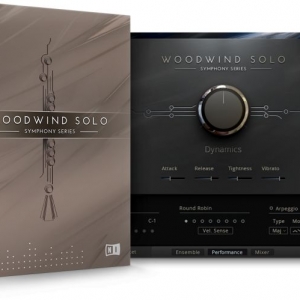木管独奏 Native Instruments Symphony Series Woodwind Solo KONTAKT