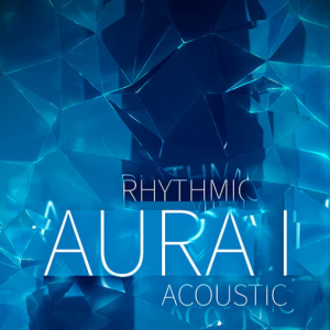 灵气节奏1音景库 8Dio Rhythmic Aura Vol.1 Acoustic KONTAKT
