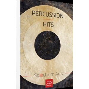 打击乐 Spaectrum Arts Percussion Hits v.1.3 版 KONTAKT