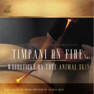 定音鼓 FT.Samples Timpani On Fire Vol 1 KONTAKT