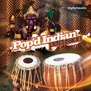 印度打击乐Big Fish Audio Pop'd Indian Percussion KONTAKT