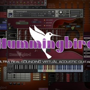 蜂鸟木吉他音源 Prominy Hummingbird v1.2.2 KONTAKT