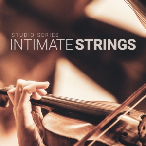 工作室深度弦乐 8Dio Intimate Studio Strings v1.3 KONTAKT