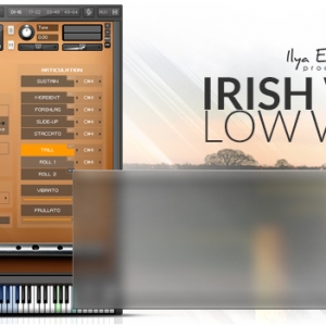 爱尔兰哨笛 Ilya Efimov Production Irish Low Whistle KONTAKT