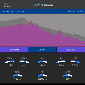 完美房间回响插件 Denise Audio Perfect Room v1.2.1 PC/v1.0.0 MAC