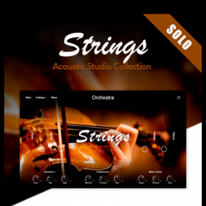 弦乐独奏 Muze Strings Solo KONTAKT