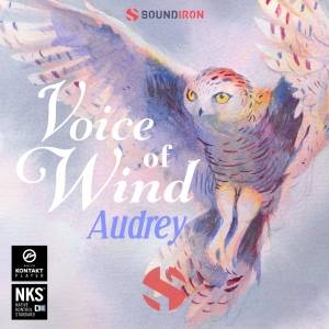 风之声：奥黛丽女声独唱 Soundiron Voice of Wind: Audrey KONTAKT