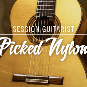 精选尼龙弦吉他 Native Instruments Session Guitarist Picked Nylon KONTAKT