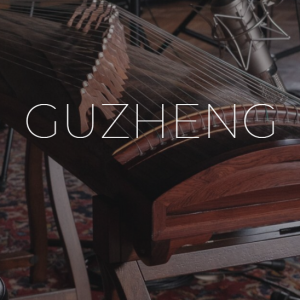 古筝 Evolution Series World Strings Guzheng 1.0.0 KONTAKT