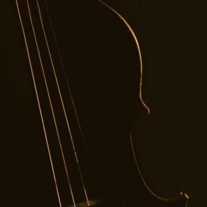 纹理大提琴 Emergence Audio Cello Textures KONTAKT