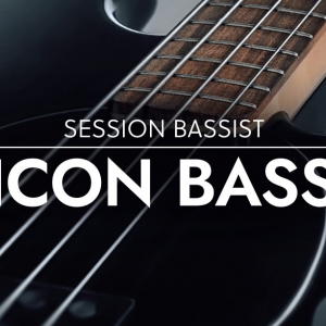 贝斯 Native Instruments Session Bassist Icon Bass KONTAKT