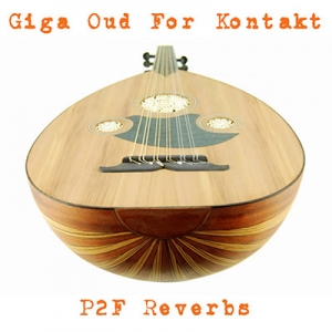 乌德琴 Past to Future Reverbs Giga Oud KONTAKT