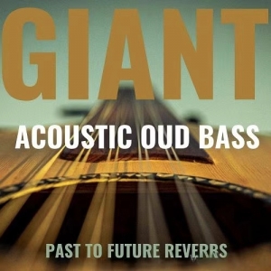 无品贝斯 Past to Future Reverbs Giant Acoustic Round-Back Fretless Bass KONTAKT ...