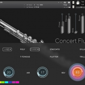 音乐会长笛 Auddict Artist Series Daniela Mars Concert Flute KONTAKT