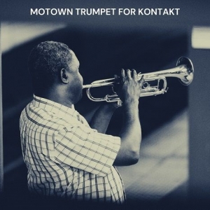 小号 Past to Future Reverbs Motown Trumpet KONTAKT