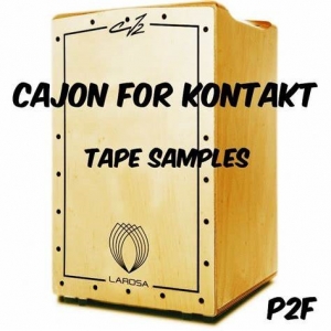 秘鲁卡洪鼓 Past to Future Reverbs P2F Cajon KONTAKT