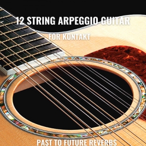 12弦原声吉他 Past to Future Reverbs 12 String Arpeggio Guitar KONTAKT