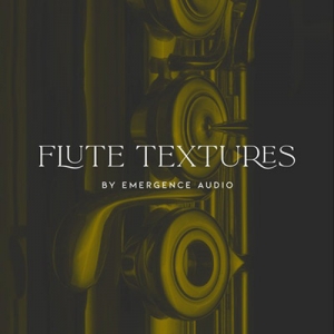 长笛 Emergence Audio Flute Textures KONTAKT