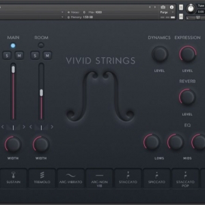 小提琴 Pulse Audio Vivid Strings Violins 2 KONTAKT