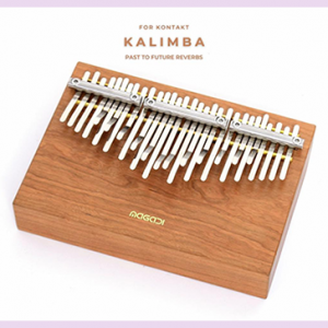 卡林巴 Past to Future Reverbs Kalimba KONTAKT