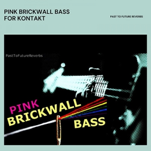 贝斯 Past to Future Reverbs Pink Brickwall Bass KONTAKT