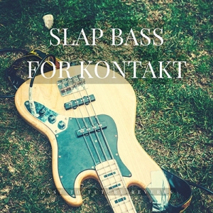 电贝斯 Past to Future Reverbs Slap Bass KONTAKT