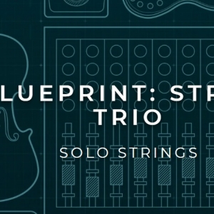 独奏弦乐三重奏  Fracture Sounds Blueprint #14 String Trio KONTAKT