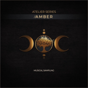 人声采样 Musical Sampling Atelier Series Amber KONTAKT