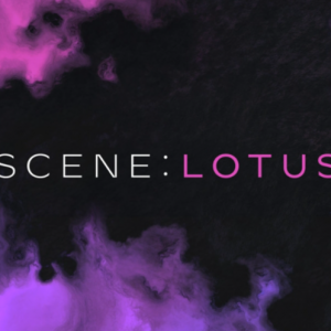 轻量级音乐调色板 Native Instruments Scene Lotus 1.01 KONTAKT