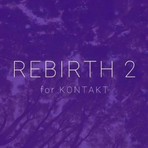 打击垫采样  Soundethers Rebirth 2 KONTAKT
