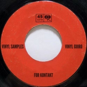 黑胶拉丁美洲打击乐采样 Past to Future Reverbs Vinyl Guiro Percussion Vol. 2 KONTAKT, WAV