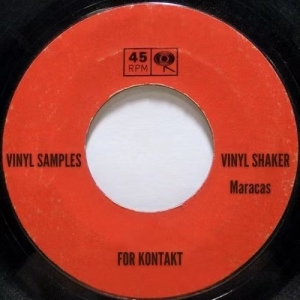 黑胶沙锤 Past to Future Reverbs Vinyl Shaker (Maracas) KONTAKT, WAV
